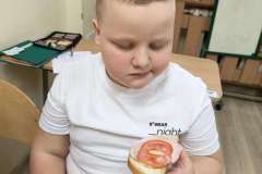 465909819_1125371242925203_4450358025615670477_n